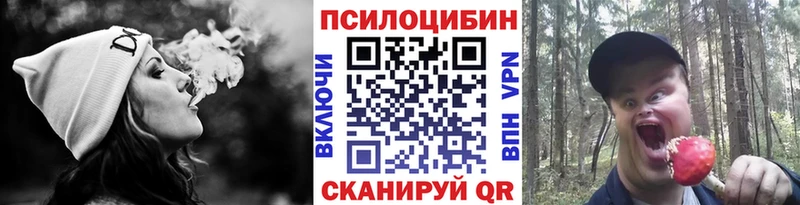 даркнет какой сайт  Курчалой  Псилоцибиновые грибы прущие грибы 